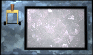 lever-email-motion1-black.gif