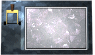 lever-cool-motion1-white.gif
