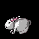 bunnyBLK.gif
