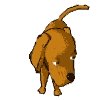 dogWHT.gif