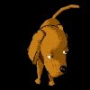 dogBLK.gif