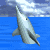 dolphin_tread_sm_sky.gif