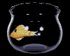 bowlBLK.gif