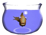 bowl2WHT.gif