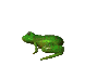 frogCLR.gif
