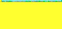 bar4-0010.gif
