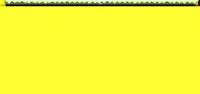 bar4-0005.gif