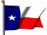 texasW.gif