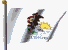 illinoiW.gif