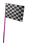 chequedflag-motion1-white.gif