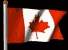 canada_B.gif