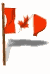 canada.gif