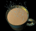 coffeesteaming-motion6-b.gif