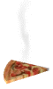 slice_steam_wte.gif