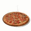 pizza_med2_wte.gif