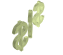 spinningdollars-angle3-w.gif