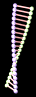 dnastrand-angle2-black.gif
