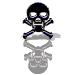pirateWHT.gif