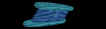 spiritlevel-angle2-b.gif