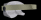 safetygoggles-angle1-b.gif