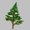 pineSmGRY.gif