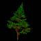 pineSmBLK.gif