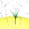 palmtree-motion2-white.gif