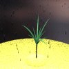 palmtree-motion2-black.gif