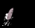home2SmBLK.gif