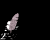 email2SmBLK.gif
