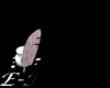 email2BLK.gif