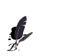 backWHT.gif