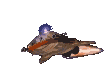 shuttle_clr.gif