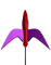 rocketliftoff-motion6-w.gif
