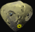 alienhead-motion1-b.gif