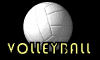 volleyballBLK.gif