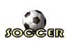 soccerWHT.gif