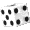 diceSmCLR.gif