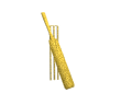 crickebatswing-motion3-w.gif