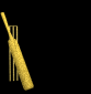 crickebatswing-motion3-b.gif