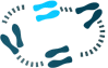 choregraphy-motion2-white.gif