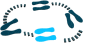 choregraphy-motion1-white.gif