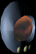 virtualpet-motion1-b.gif