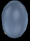 virtualpet-angle3-b.gif