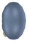virtualpet-angle2-w.gif