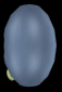 virtualpet-angle2-b.gif