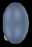 virtualpet-angle1-b.gif