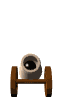 cannon_face2_wte.gif