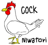BIRD0846.PCX
