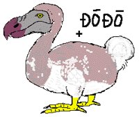 BIRD0844.PCX